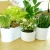 Import Round Polygonal Square Flower Pot With Tray Gardening Thickened Garden Indoor Small  Nursery Plastic Plant Succulents Pots from China