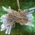 Import rubble cableIP65 led string light lemon yellow christmas led garland string light from China