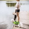 Safe Convenient Swimsuit For Dog Life Jacket, Dog Life Vest