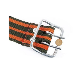 safety belt webbing with lifeline and hook and coil spring