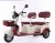 Import Sales New Style Electric Tricycle for Picking up Children Passengers from China