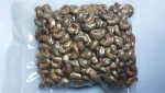 Salted Cashew Nut With Skin