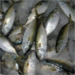Sea Fish Best Seafood With Fresh Frozen Mackerel Fish/ Pacific Mackerel