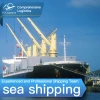 Sea Shipment From Xiamen Ningbgo Shanghai China To Mersin Port Turkey International Shipping Service To Japan