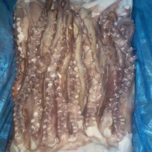 SEAFOOD Wholesale Peru Giant Squid Tentacle Raw Squid Long Tentacles