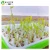 Import Seedling Tray Double Layer Sprout Plate Hydroponics System To Grow Nursery Pots from China