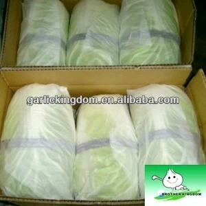 sell new crop Chinese iceburg Cabbage brother kingdom