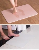 SGS Certificate Hot sale new super quick dry diatomite bath mat Natural Diatomaceous Earth mat