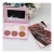 Import Shinny Eyeshadow Palette With Mirror Private Label Shimmer Pressed Glitter Eyeshadow Pigment 6 Colors from China