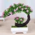 Import Simulation Room Decoration Home Furnishing Desktop Welcome The Pine Bonsai Bonsai from China