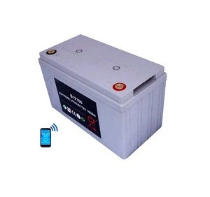 Smart Lithium battery 12v 100ah Bluetooth Lifepo4 Battery Pack for Solar banks Marine RV yacths