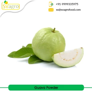 Spray Dried Instant Fruit Powder Organic Guava Powder