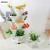Import strawberry outdoor planters plastic vertical garden pots from China