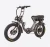 Import Super electric bicycle dual motor fat tire dual hub motor electric bike from China