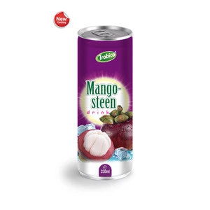 Supplier Mangosteen Fruit Juice 180ml alu can from VietNam