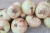 Import Sweet fresh white onion from Spain