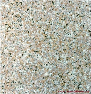 Top Table Natural Tiles Granite Stone at Competitive Price