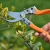 Import Tree Trimming Bypass Manual Gardening Hand Pruner Shears Saw With Great Price from China