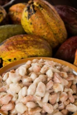 Trinitario Variety Ben Tre Cacao Beans - CacaoTrace Standards