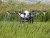 Import Tta 10kg Agricultural Uav Automatic Crop Spraying Machine Uav from China
