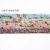 Import underwear high stretch band --elastic bands wholesale -custom printed garment accessories fold elastic band from China