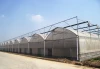 UV coating Single span plastic film vegetable greenhouse irrigation systems