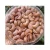 Import Various types of cashew nut for wholesale - High Quality Cashew Kernel with  CE, EU Certificate - Raw/ Roasted Cashew Nut from Vietnam