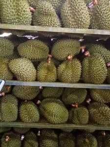 VIET NAM FRESH DURIAN  +84984418844