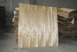 Vietnam eucalyptus/ acacia / pine core veneer 1.6mm/1.7mm/2.1mm