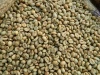 VIETNAM ROBUSTA COFFEE WET POLISHED HIGH QUALITY / GREEN COFFEE BEAN / ORGANICE COFFEE BEANS ( WHATSAPP: 0084 164 9078 009 )