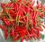 Import Vietnam&#x27;s top grade big and small green and red hot fresh chili pepper from Vietnam