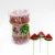 Import Watermelon Candy Lollipop 26g from China