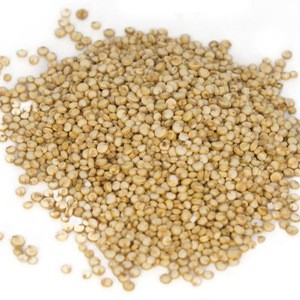 White Quinoa (1.6 - 1.8 Mm)