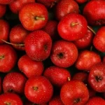 Whole Sale Hawthorn Powder Extract Concentrated Hawthorn Powder