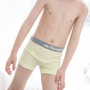 Wholesale Bamboo Fabric Seamless Breathable Kid Briefs Soft Anti-bacterical Kids Boys Underwear Boxers