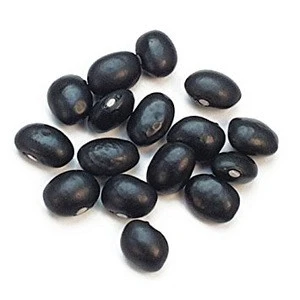 Wholesale black Speckled Kidney beans for sale