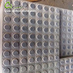 Wholesale Factory Natural Salt and Pepper Granite Blind Stone for Paving