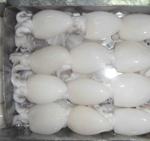 Wholesale high quality frozen/dried cuttlefish