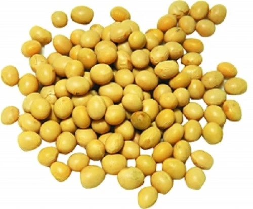 Wholesale  high quality yellow soybeans