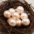 Import wholesale loose pearls necklace pearl jewelry from China