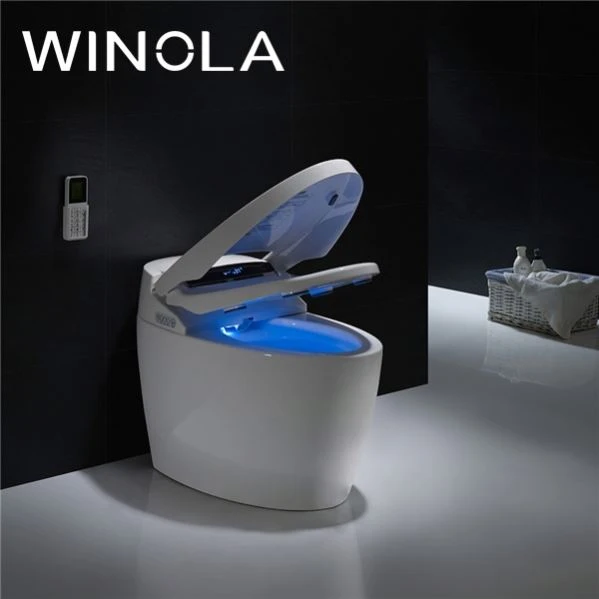 Wholesale multi-function white ceramic luxury bathroom accessories smart wc toilet intelligent