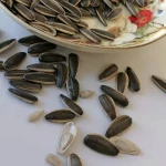 Wholesale New Crop Sunflower Seeds China Manufacturer Raw Sunflower Seeds