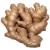 Import Wholesale organic fresh ginger export quality from India from India