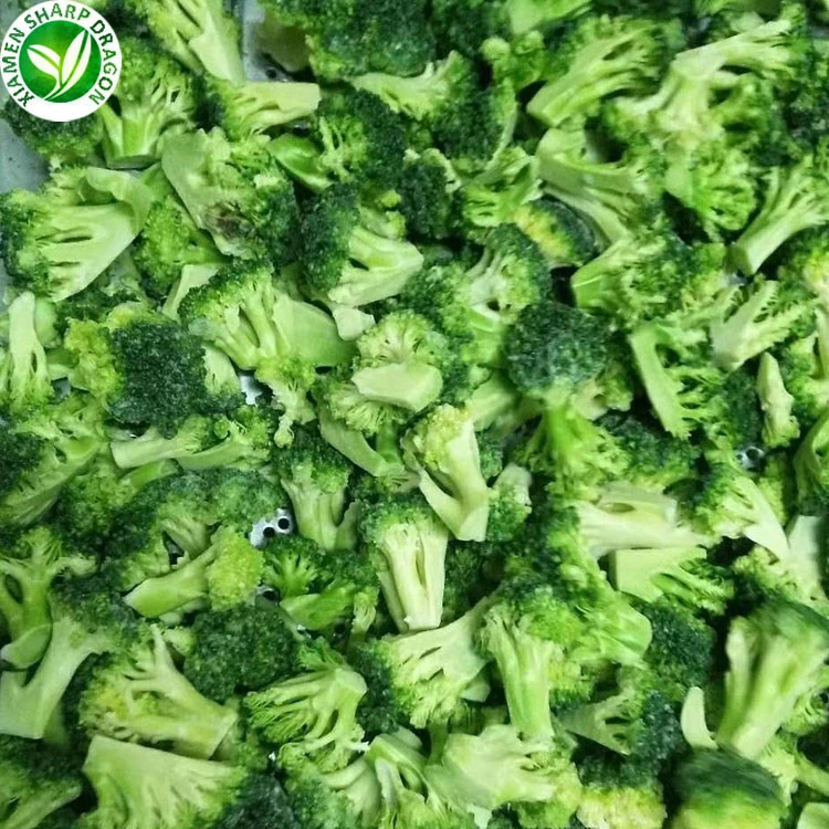 Wholesale Price Exporting Frozen Broccoli in Frozen Vegetables