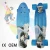 Import wholesale promotional Customized 22*6inch Outdoor Sports Skateboarding cruiser Long Skate Board skateboard for adult from China