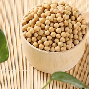 Yellow Grade 2 GMO Soybeans, 34% Protein Min, Fit for Human Consumption, Origin