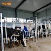 YOMO dairy farm equipment automatic cow milking machine Parallel milking machine for cow