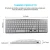 Import Zienstar-Spanish Bluetooth Keyboard,Rechargeable Standard Wireless Keyboard with Numeric Keypad for Laptop,Computer,Tablet from China