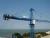 Import zoomlion tower crane price qtz125 from China