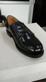 Leather Protective shoes